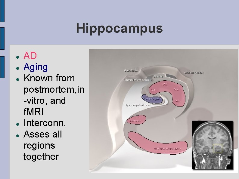 Hippocampus AD Aging Known from postmortem, in -vitro, and f. MRI Interconn. Asses all