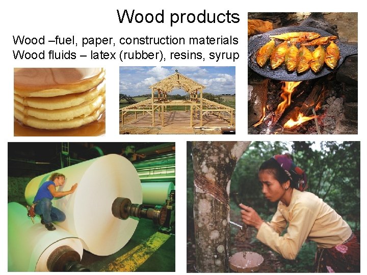 Wood products Wood –fuel, paper, construction materials Wood fluids – latex (rubber), resins, syrup