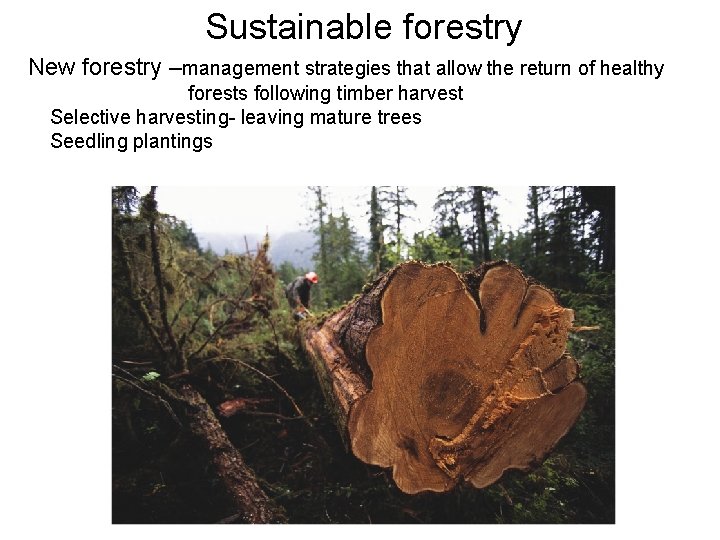 Sustainable forestry New forestry –management strategies that allow the return of healthy forests following