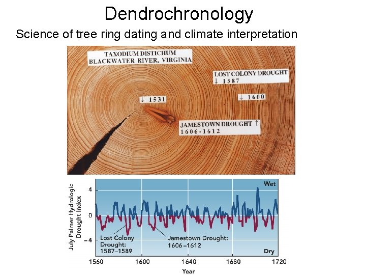 Dendrochronology Science of tree ring dating and climate interpretation 