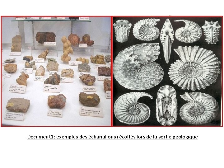 Document 1: exemples des échantillons récoltés lors de la sortie géologique 