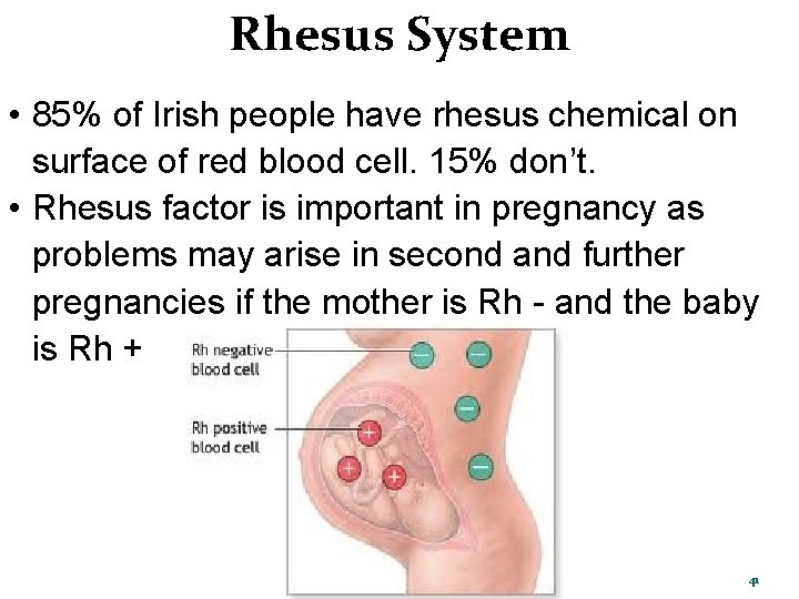Chapter 25 Blood 1 Did You Know An