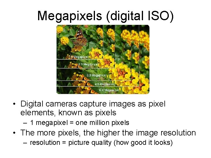 Megapixels (digital ISO) • Digital cameras capture images as pixel elements, known as pixels