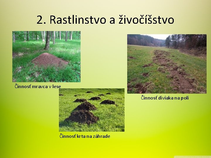 2. Rastlinstvo a živočíšstvo Činnosť mravca v lese Činnosť diviaka na poli Činnosť krta