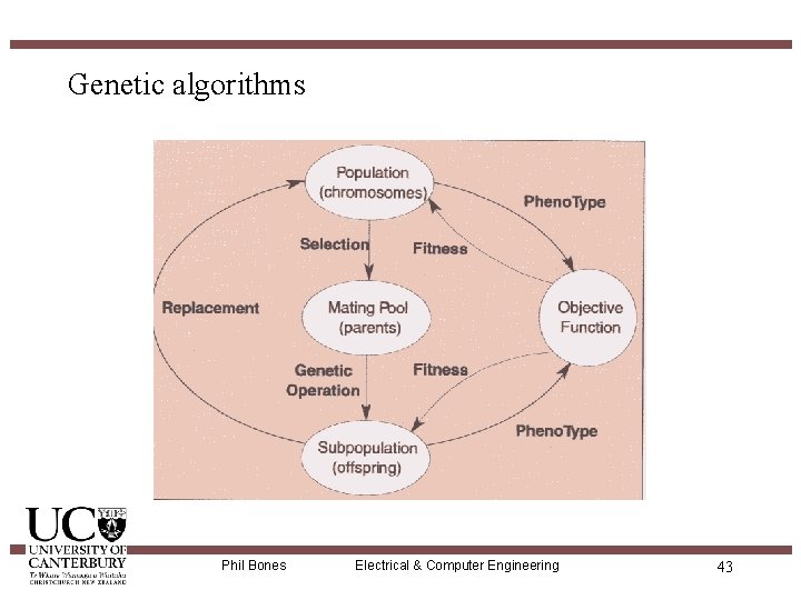 Genetic algorithms Phil Bones Electrical & Computer Engineering 43 
