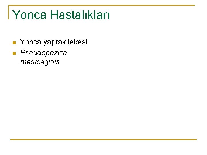 Yonca Hastalıkları n n Yonca yaprak lekesi Pseudopeziza medicaginis 