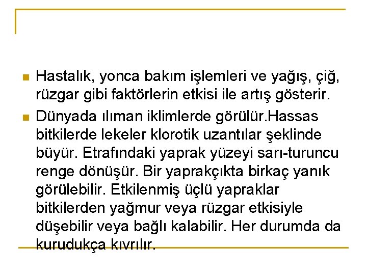 n n Hastalık, yonca bakım işlemleri ve yağış, çiğ, rüzgar gibi faktörlerin etkisi ile