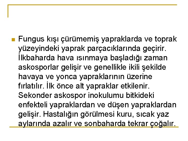 n Fungus kışı çürümemiş yapraklarda ve toprak yüzeyindeki yaprak parçacıklarında geçirir. İlkbaharda hava ısınmaya