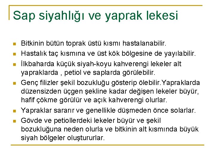 Sap siyahlığı ve yaprak lekesi n n n Bitkinin bütün toprak üstü kısmı hastalanabilir.