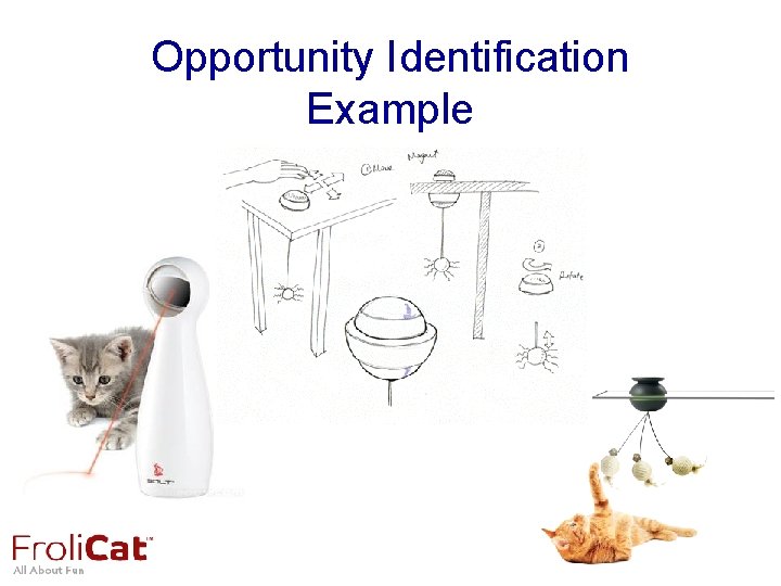 Opportunity Identification Example Opportunity Identification Example