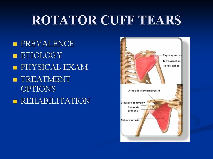 ROTATOR CUFF TEARS n n n PREVALENCE ETIOLOGY PHYSICAL EXAM TREATMENT OPTIONS REHABILITATION 