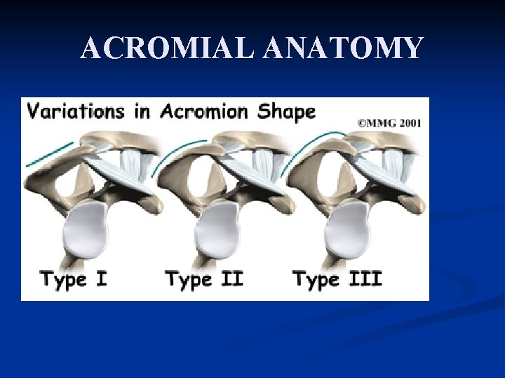 ACROMIAL ANATOMY 