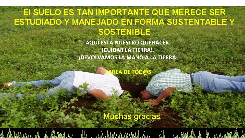 El SUELO ES TAN IMPORTANTE QUE MERECE SER ESTUDIADO Y MANEJADO EN FORMA SUSTENTABLE