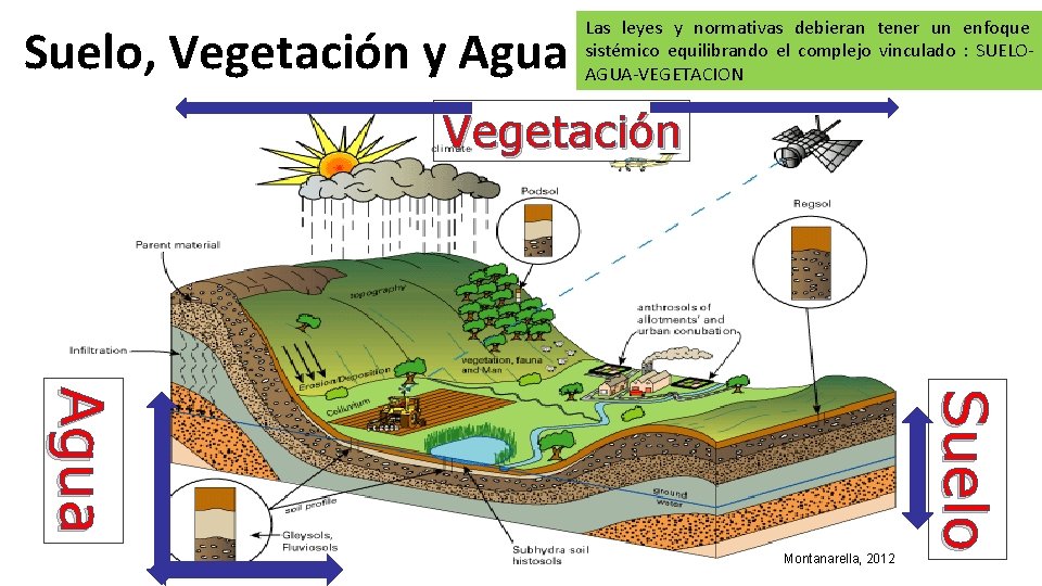 Suelo, Vegetación y Agua Las leyes y normativas debieran tener un enfoque sistémico equilibrando