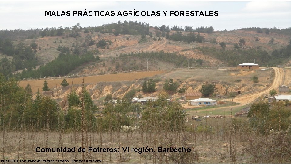 MALAS PRÁCTICAS AGRÍCOLAS Y FORESTALES Comunidad de Potreros; VI región. Barbecho Ruiz, G, 2011.
