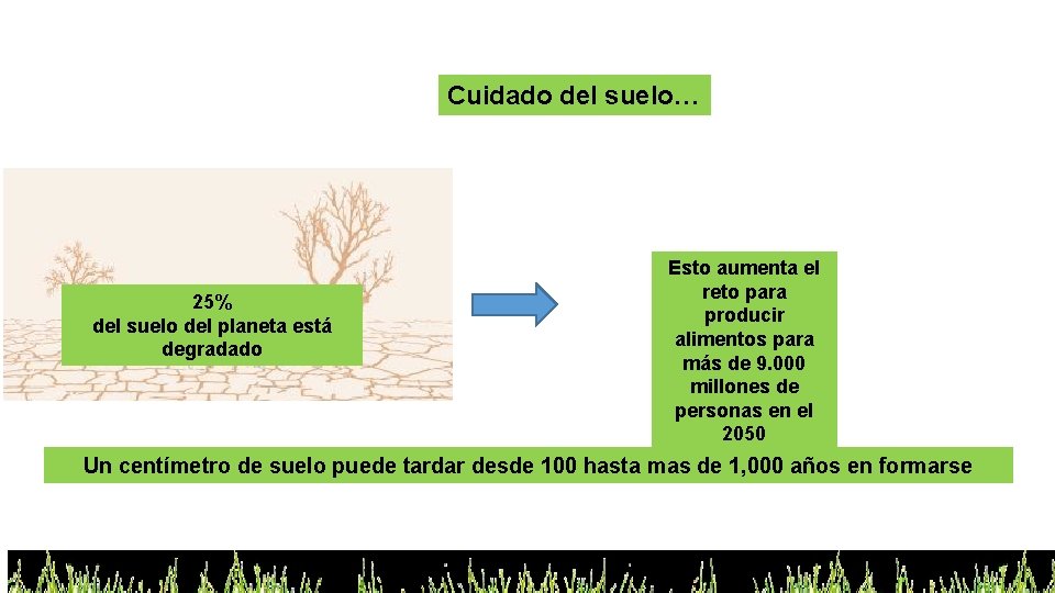 Cuidado del suelo… 25% del suelo del planeta está degradado Esto aumenta el reto