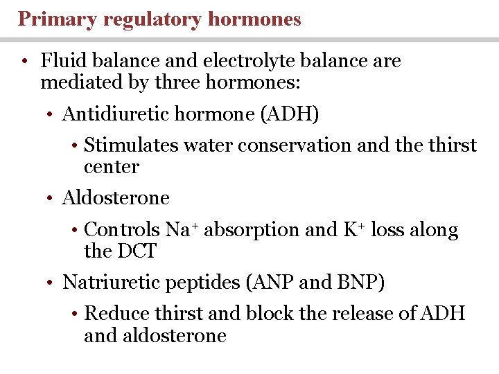 Primary regulatory hormones • Fluid balance and electrolyte balance are mediated by three hormones: