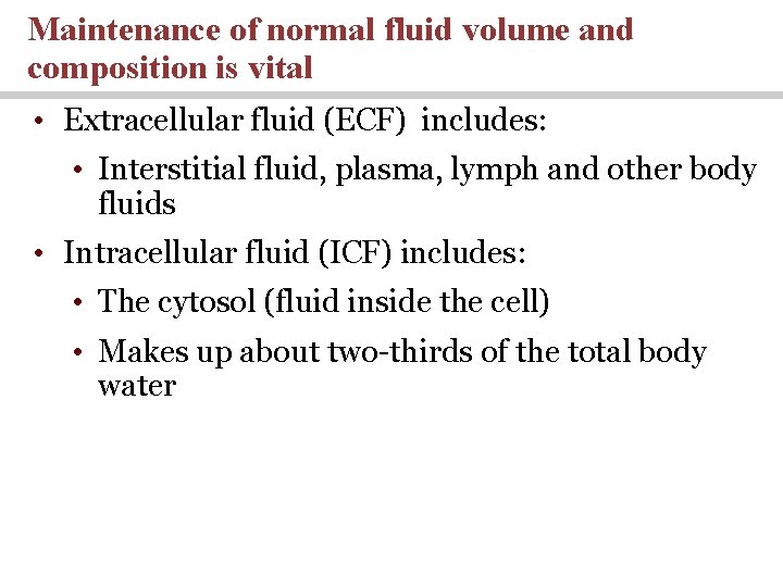 Maintenance of normal fluid volume and composition is vital • Extracellular fluid (ECF) includes: