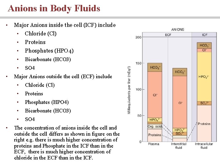 Anions in Body Fluids • • • Major Anions inside the cell (ICF) include