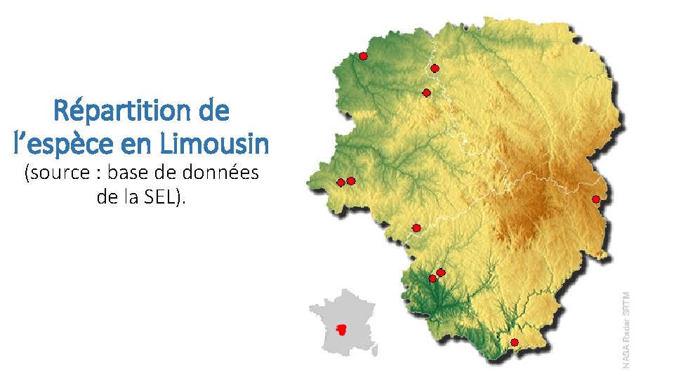 Répartition de l’espèce en Limousin (source : base de données de la SEL). 