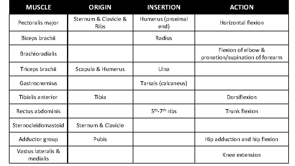 MUSCLE Pectoralis major Honors Origins INSERTION and Insertions