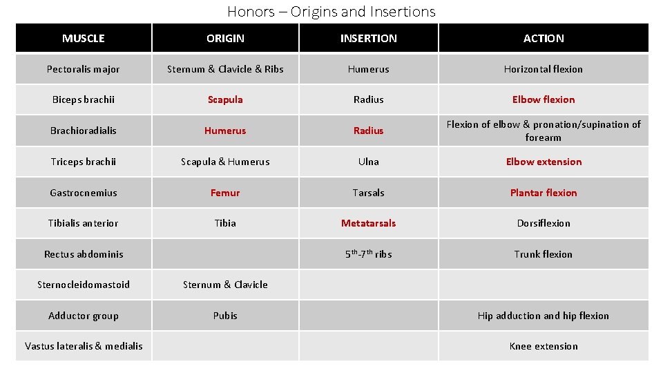 MUSCLE Pectoralis major Honors Origins INSERTION and Insertions