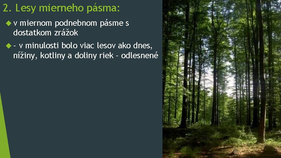 2. Lesy mierneho pásma: v miernom podnebnom pásme s dostatkom zrážok - v minulosti