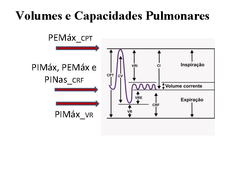 Volumes e Capacidades Pulmonares PEMáx_CPT PIMáx, PEMáx e PINas_CRF PIMáx_VR 