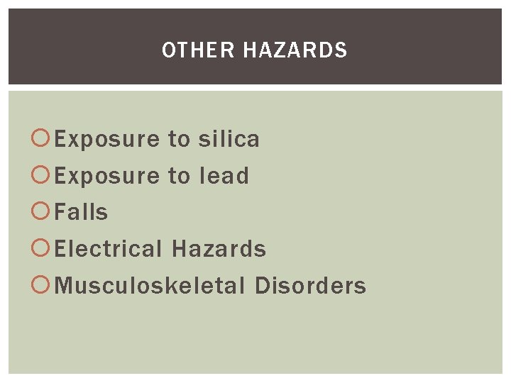 OTHER HAZARDS Exposure to silica Exposure to lead Falls Electrical Hazards Musculoskeletal Disorders 