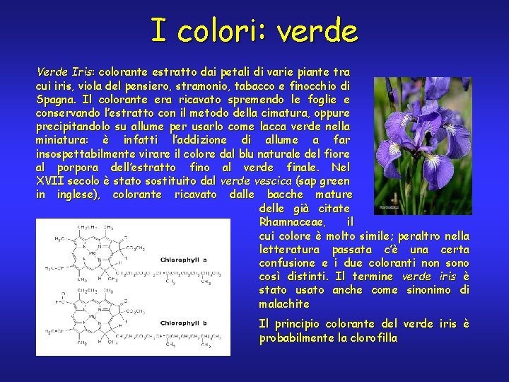 I colori: verde Verde Iris: colorante estratto dai petali di varie piante tra cui