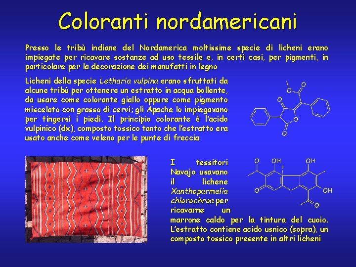 Coloranti nordamericani Presso le tribù indiane del Nordamerica moltissime specie di licheni erano impiegate