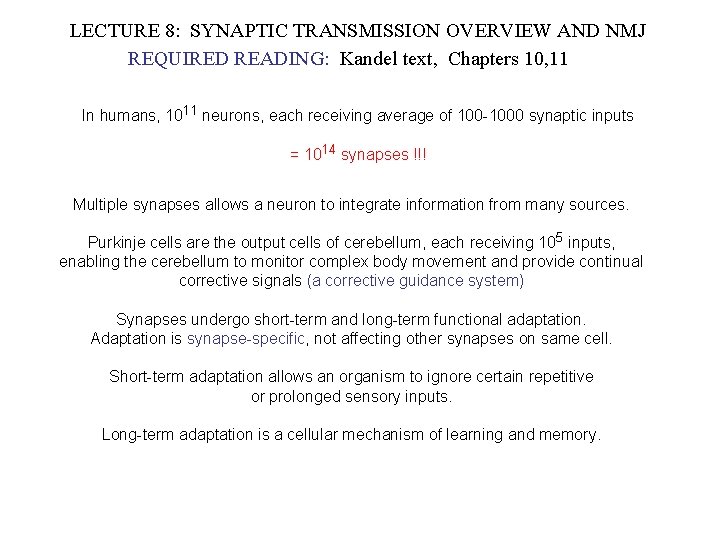 LECTURE 8: SYNAPTIC TRANSMISSION OVERVIEW AND NMJ REQUIRED READING: Kandel text, Chapters 10, 11