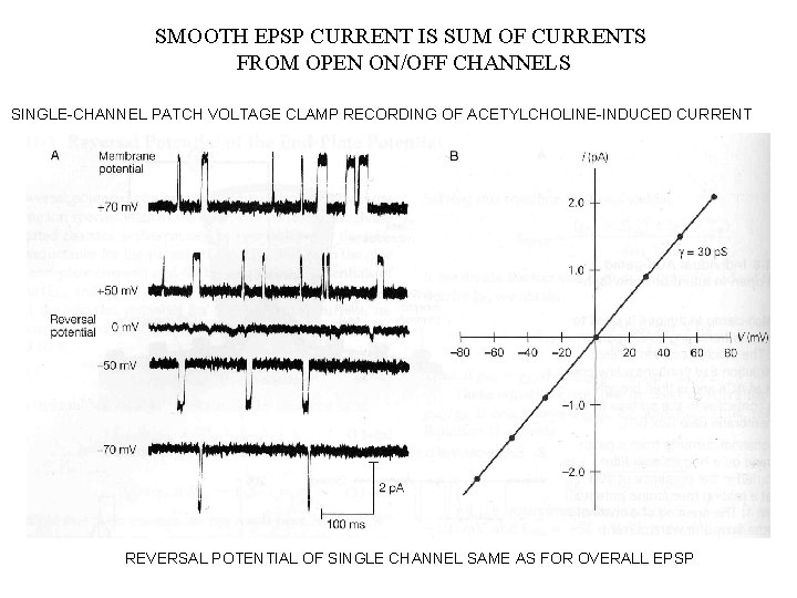 SMOOTH EPSP CURRENT IS SUM OF CURRENTS FROM OPEN ON/OFF CHANNELS SINGLE-CHANNEL PATCH VOLTAGE