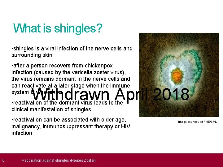  5 What is shingles? • shingles is a viral infection of the nerve