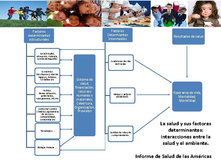 Factores Determiantes Intermedios Factores determinantes estructurales Social: Empleo, educación, violencia, cambio demográfico Económico: Distribución Factores Determiantes Intermedios Factores determinantes estructurales Social: Empleo, educación, violencia, cambio demográfico Económico: Distribución