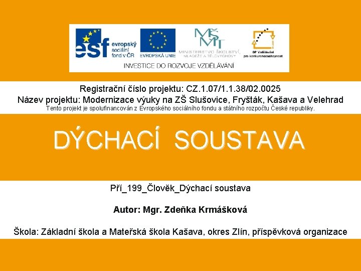 Registrační číslo projektu: CZ. 1. 07/1. 1. 38/02. 0025 Název projektu: Modernizace výuky na