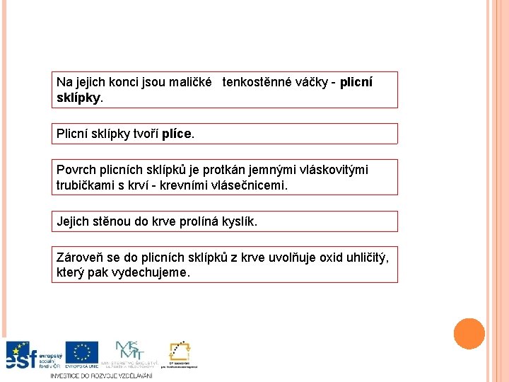 Na jejich konci jsou maličké tenkostěnné váčky - plicní sklípky. Plicní sklípky tvoří plíce.