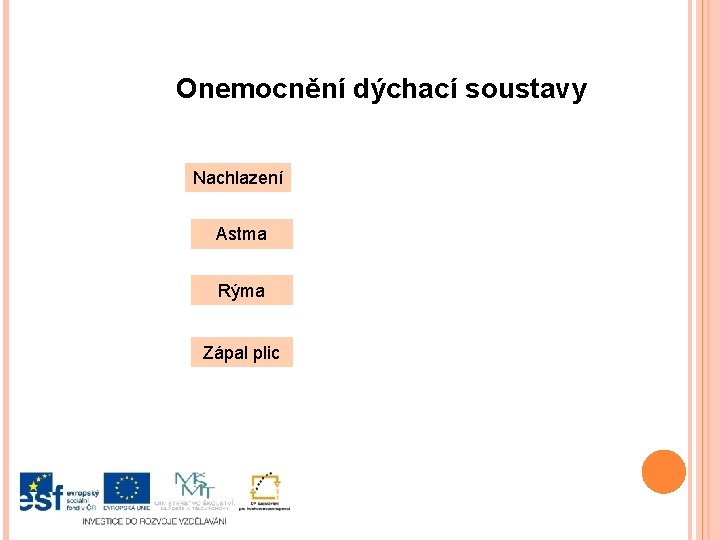 Onemocnění dýchací soustavy Nachlazení Astma Rýma Zápal plic 