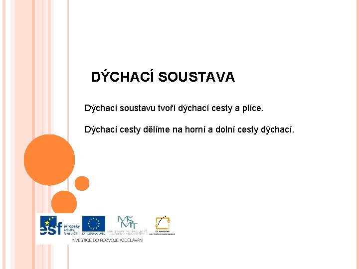 DÝCHACÍ SOUSTAVA Dýchací soustavu tvoří dýchací cesty a plíce. Dýchací cesty dělíme na horní