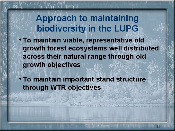 Approach to maintaining biodiversity in the LUPG • To maintain viable, representative old growth