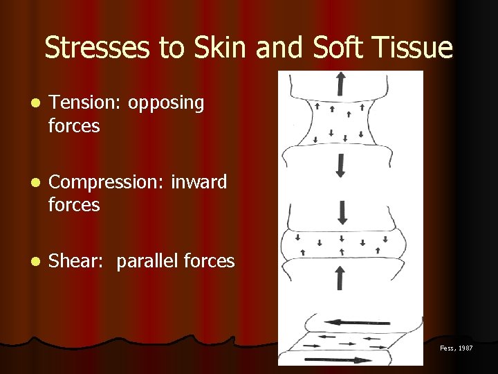 Stresses to Skin and Soft Tissue l Tension: opposing forces l Compression: inward forces
