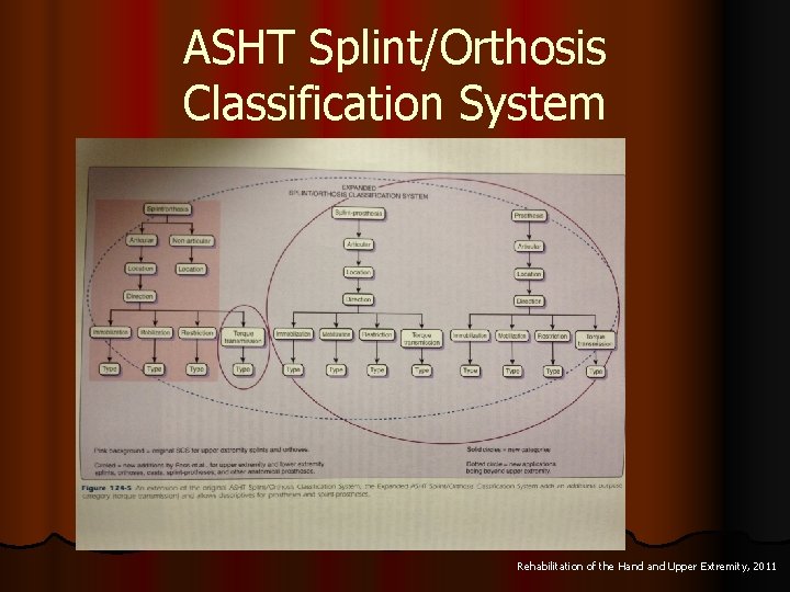 ASHT Splint/Orthosis Classification System Rehabilitation of the Hand Upper Extremity, 2011 