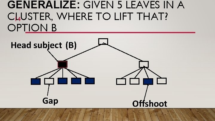 GENERALIZE: GIVEN 5 LEAVES IN A CLUSTER, WHERE TO LIFT THAT? 14 OPTION B