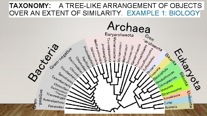 TAXONOMY: A TREE-LIKE ARRANGEMENT OF OBJECTS OVER AN EXTENT OF SIMILARITY. EXAMPLE 1: BIOLOGY