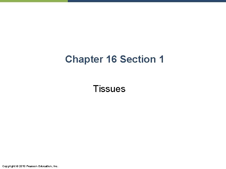 Chapter 16 Section 1 Tissues Copyright © 2010 Pearson Education, Inc. 