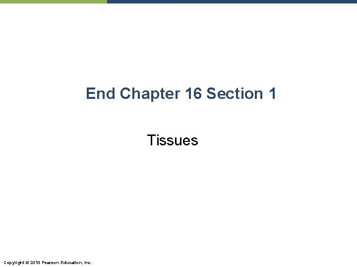 End Chapter 16 Section 1 Tissues Copyright © 2010 Pearson Education, Inc. 