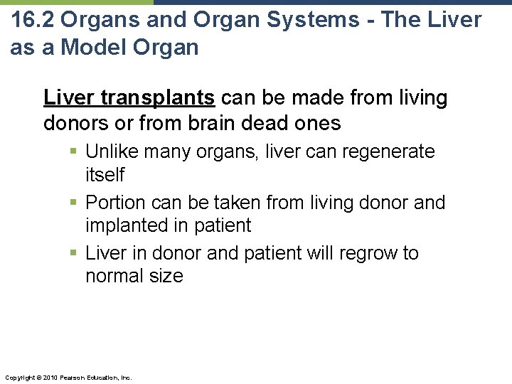 16. 2 Organs and Organ Systems - The Liver as a Model Organ Liver