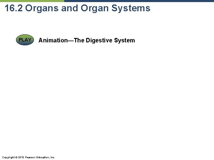 16. 2 Organs and Organ Systems PLAY Animation—The Digestive System Copyright © 2010 Pearson