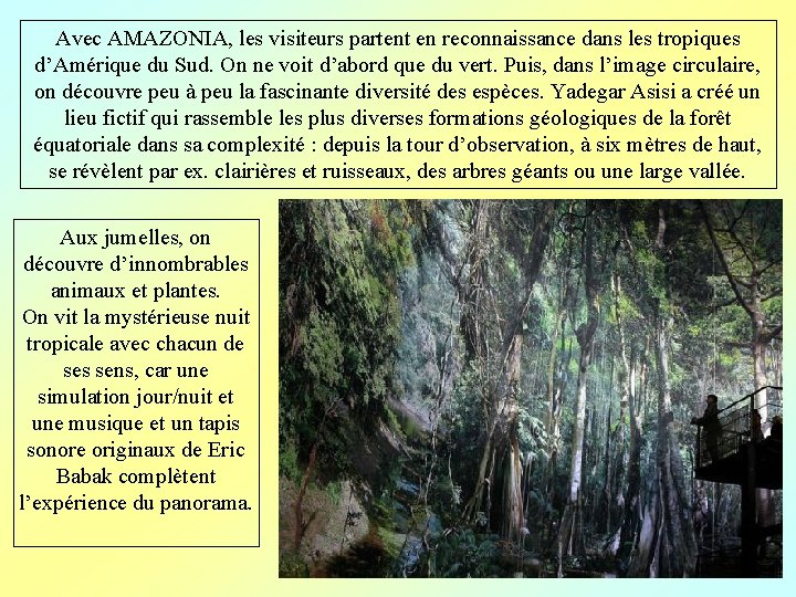 Avec AMAZONIA, les visiteurs partent en reconnaissance dans les tropiques d’Amérique du Sud. On