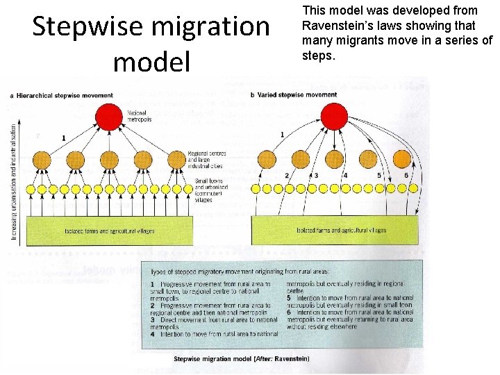 Stepwise migration model This model was developed from Ravenstein’s laws showing that many migrants